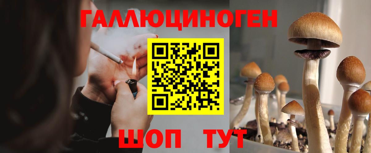 Галлюциногенные грибы MAGIC MUSHROOMS Северобайкальск